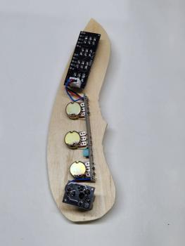 Onboard Saz Preamp Elektro Baglama